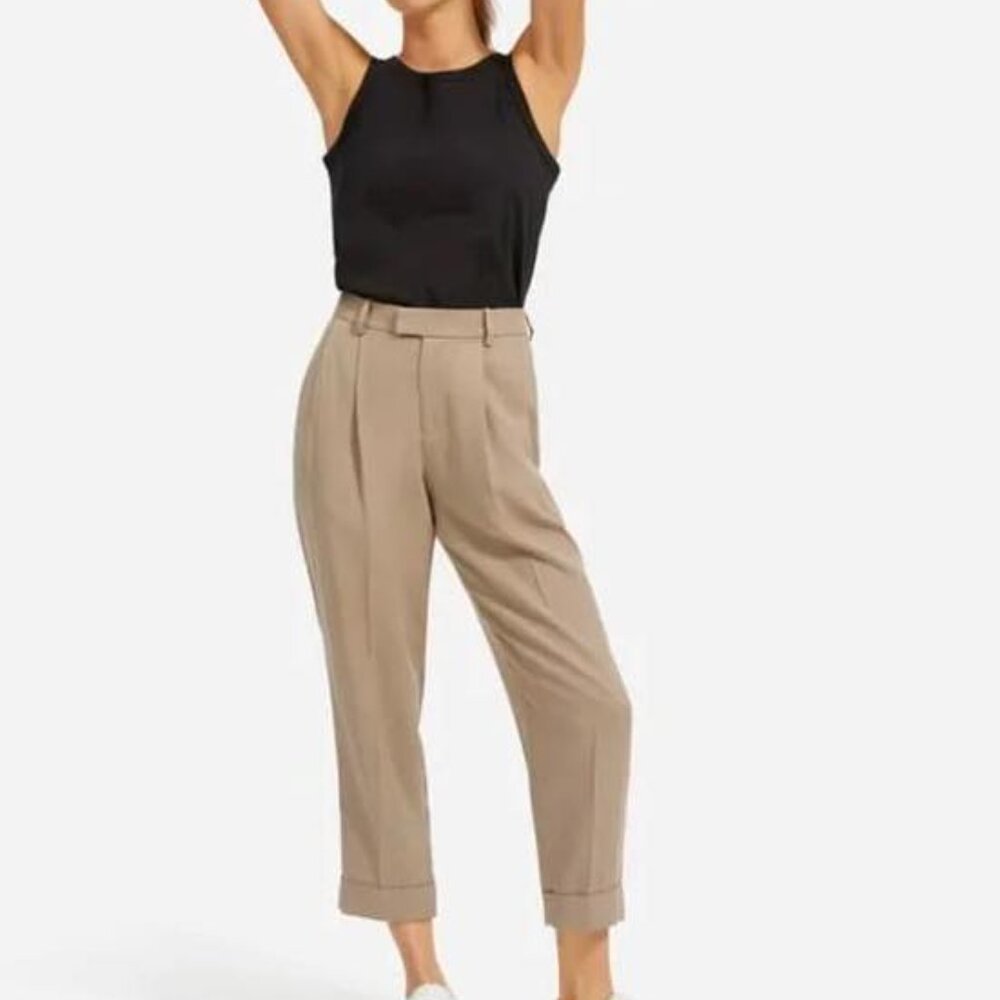 Everlane Put together pleat pants